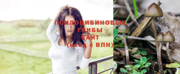 МДМА Вязьма