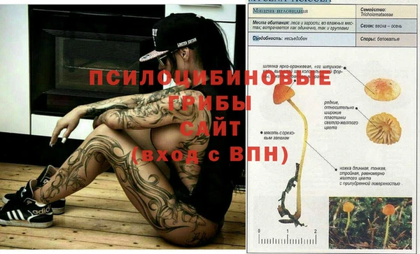 кокаин премиум Вяземский